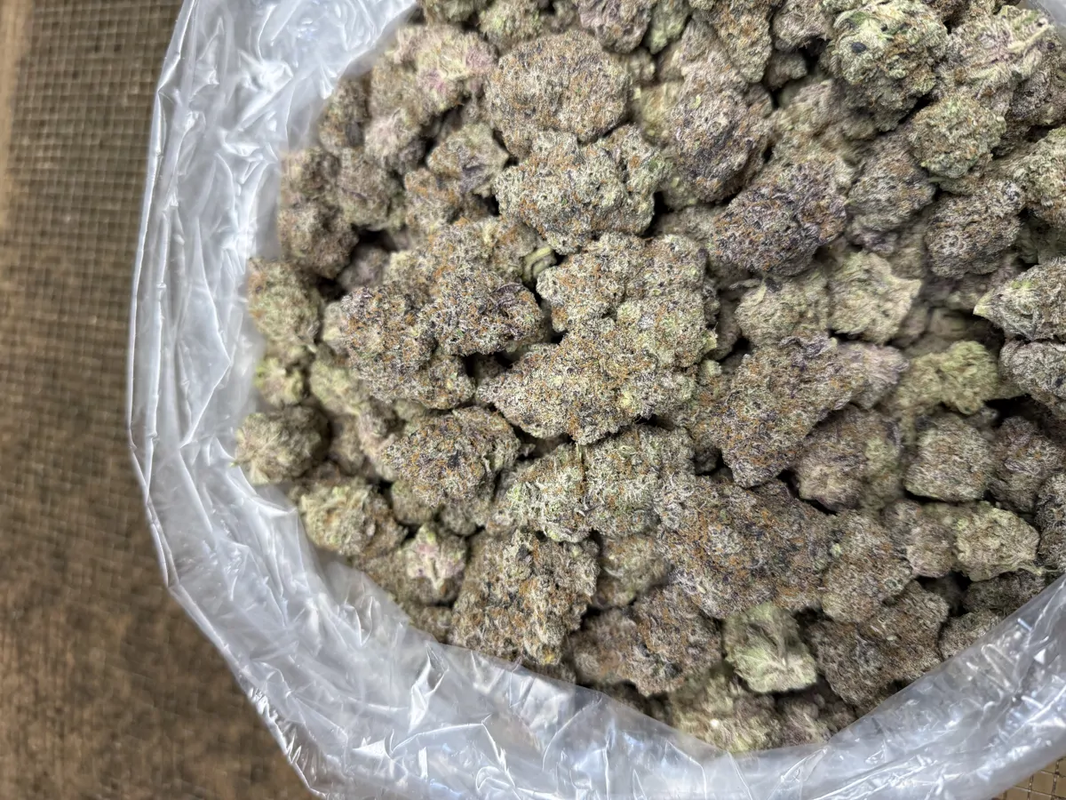 Purple Voodoo Flower